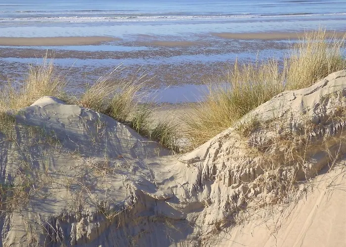 Le Bruxelles, 1 Chambre, Rez de Chaussée, Terrasse Sud